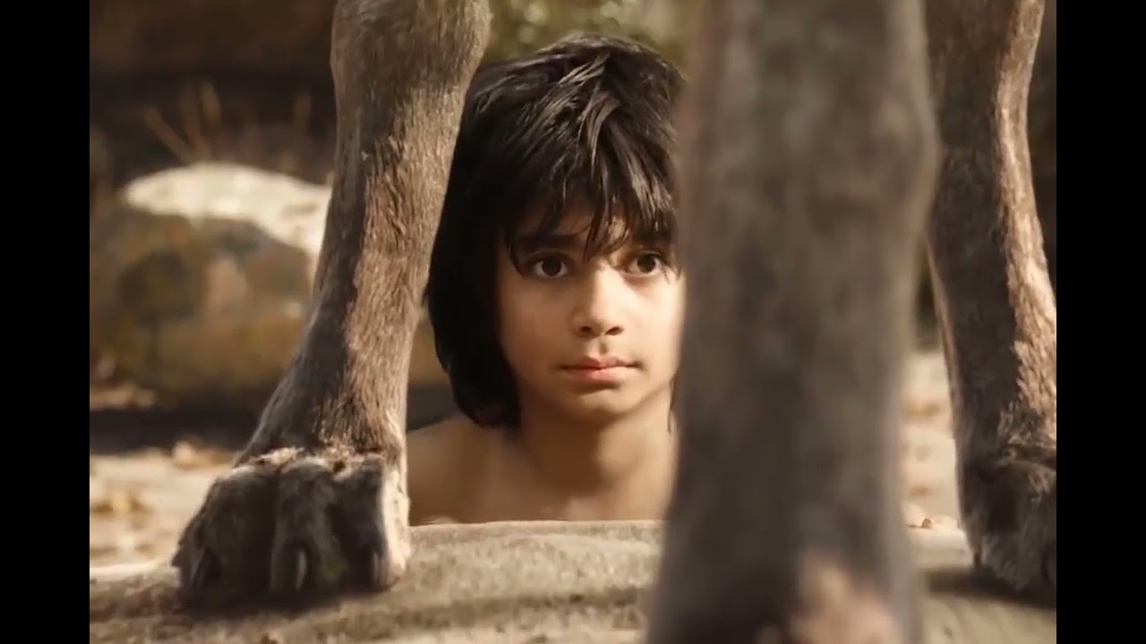 #Jungle book #my favourite movie 