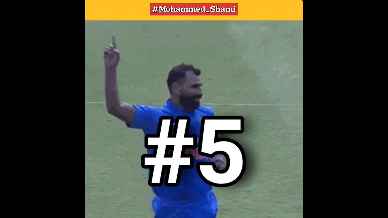 mohammed shami performance in odi world cup 🏏 #cricket
