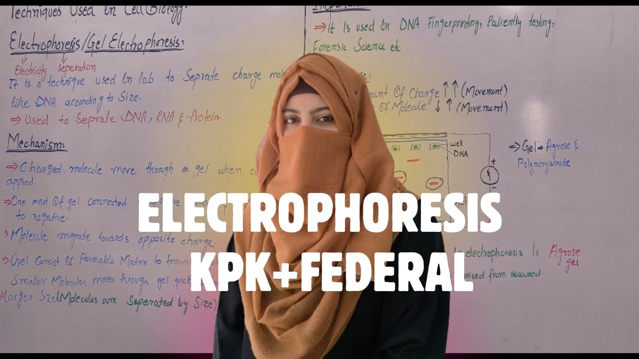 Electrophoresis |Gel Electrophoresis | Technique Used in Cell Biology| KPK+Federal