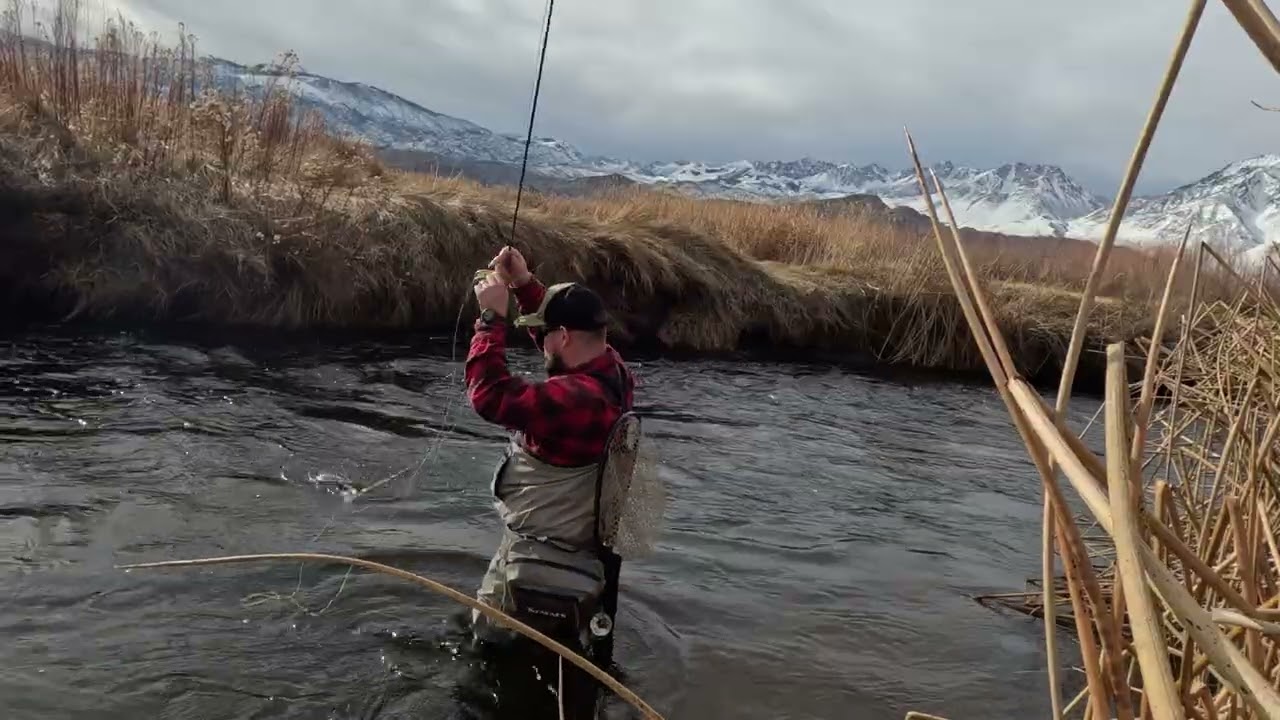 Рыбалка нахлыстом в районе Lower Owens Wild Section