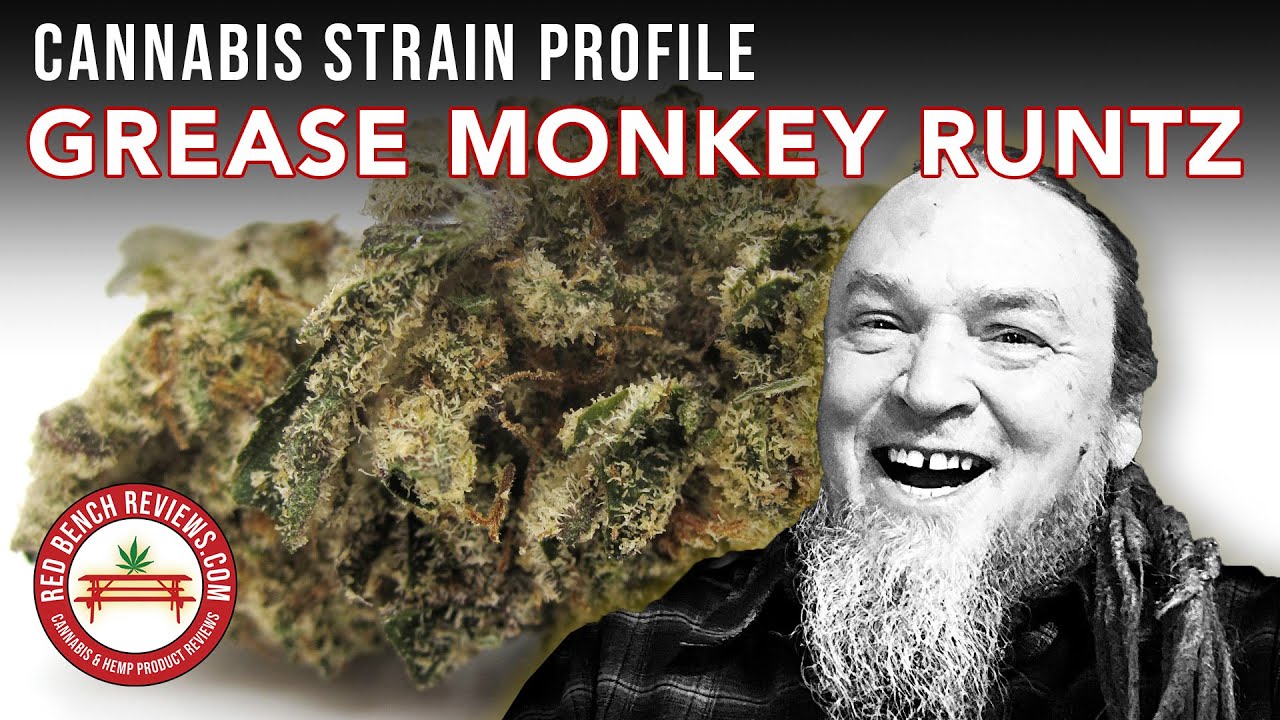 Grease Monkey Runtz Strain Introduction