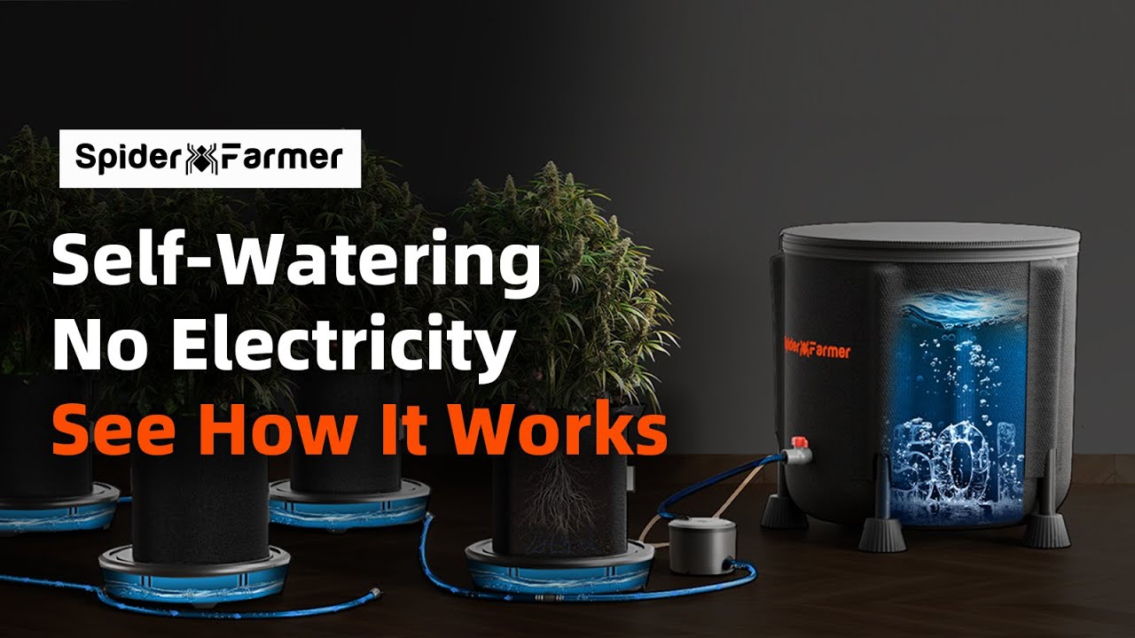 How to Keep Plants Watered in the Summer &mdash; No Power Needed!  | Spider Farmer Self-Watering Kit