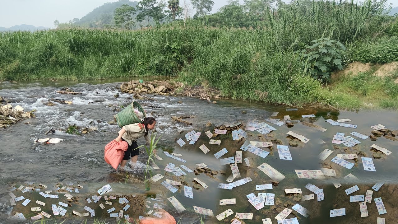 Single mother picked up a lot of money floating down the big river on Phuong's lucky day