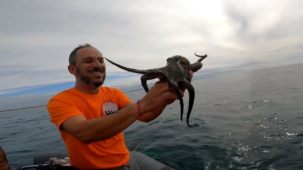 Zékinhas do Sado à procura das Douradas