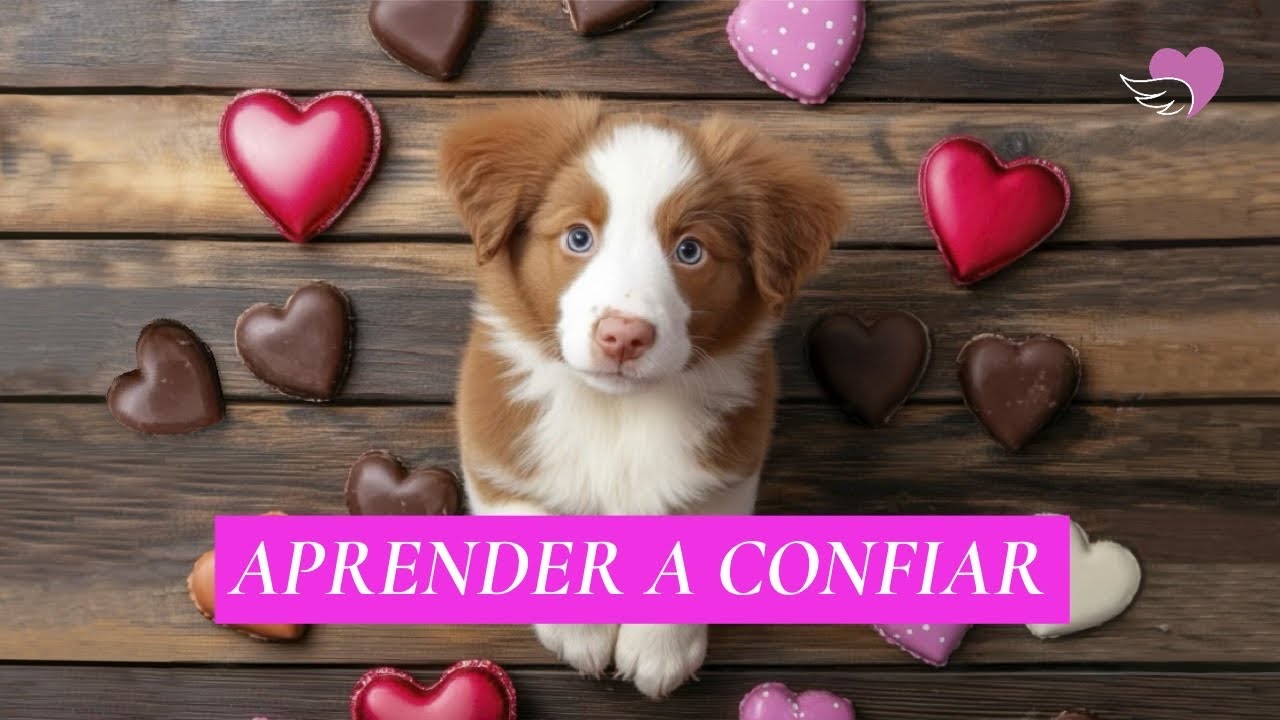 Miedo al abandono | Mia, la cachorrita que aprendió a confiar – Fábula espiritual