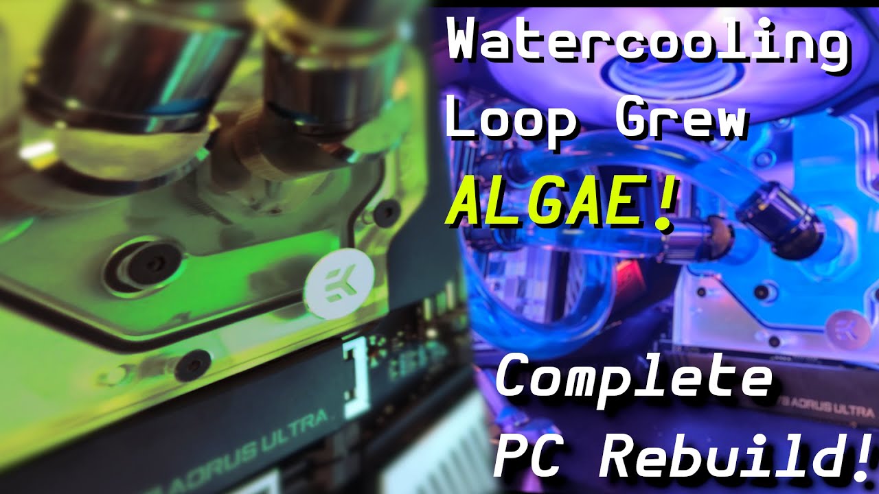 My Watercooling Loop Grew ALGAE - Complete PC Rebuild
