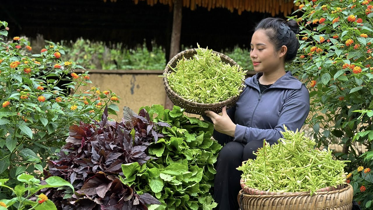 Harvest papaya flowers and bok choy to sell at the market