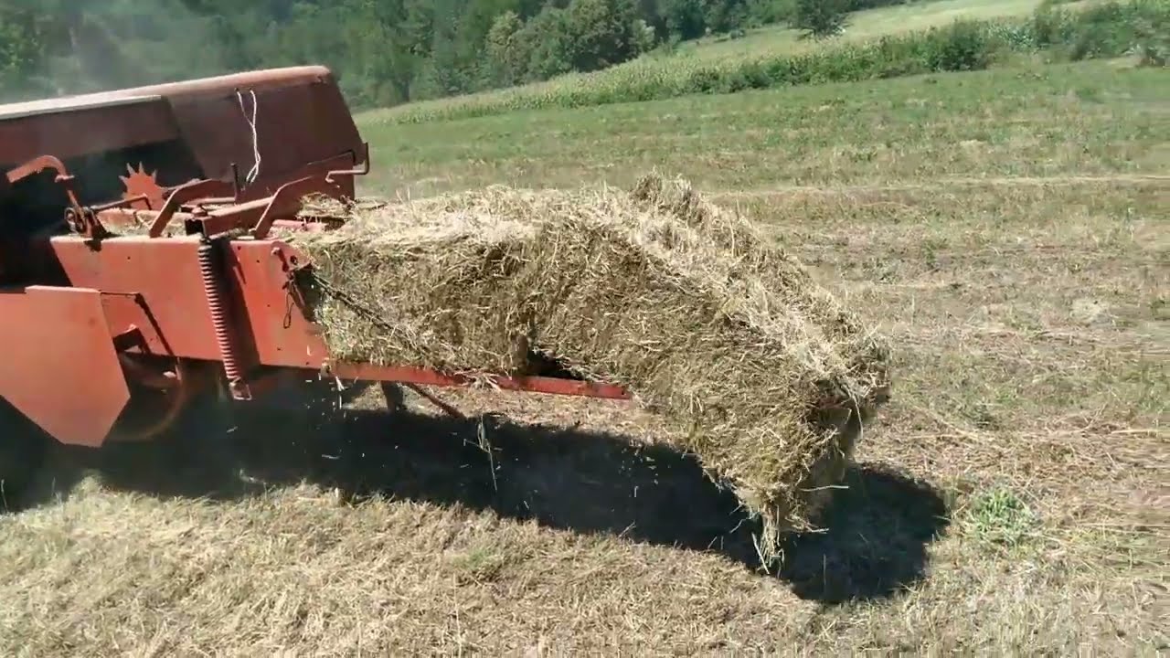 Baliranje sena sa balirkom L. Sgorbati / Imt 542 traktor