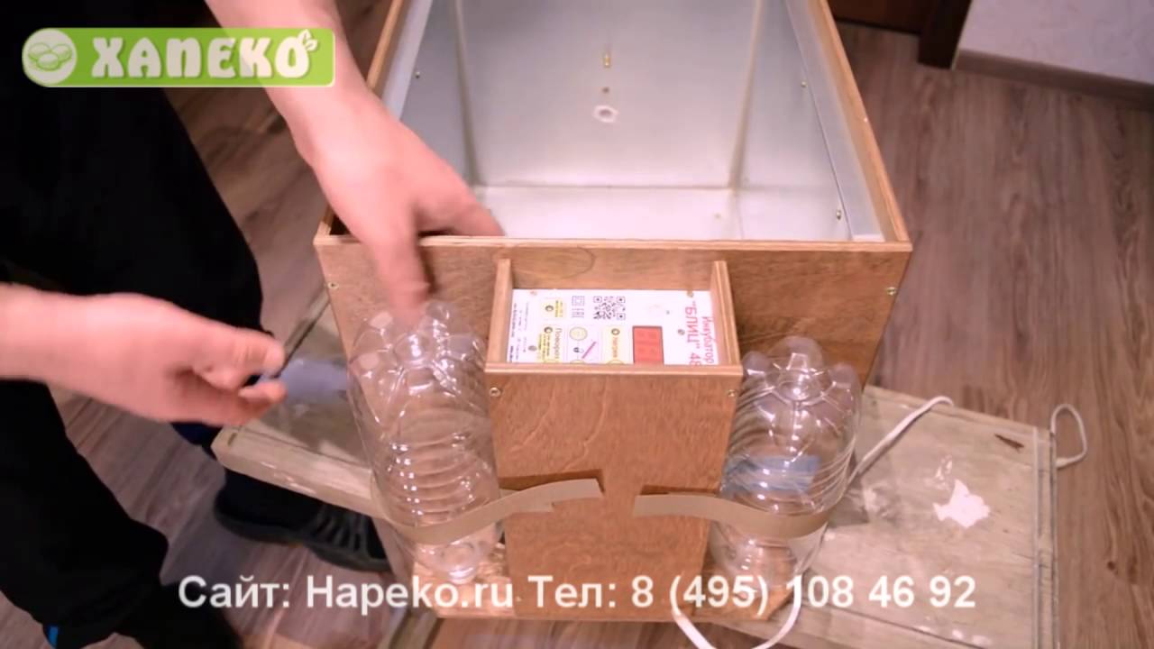 Обзор инкубатора БЛИЦ 48 цифровой ц6