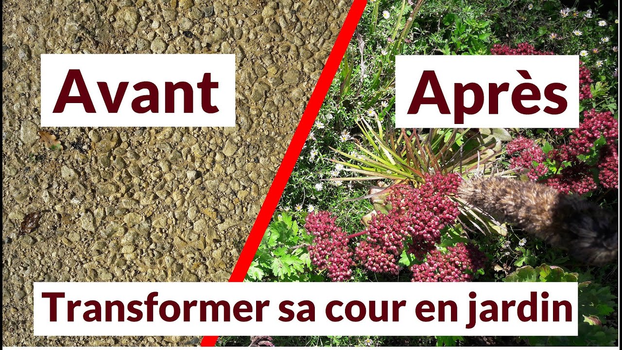 Comment planter sur du gravier ? -  Les Jardins de La Tine