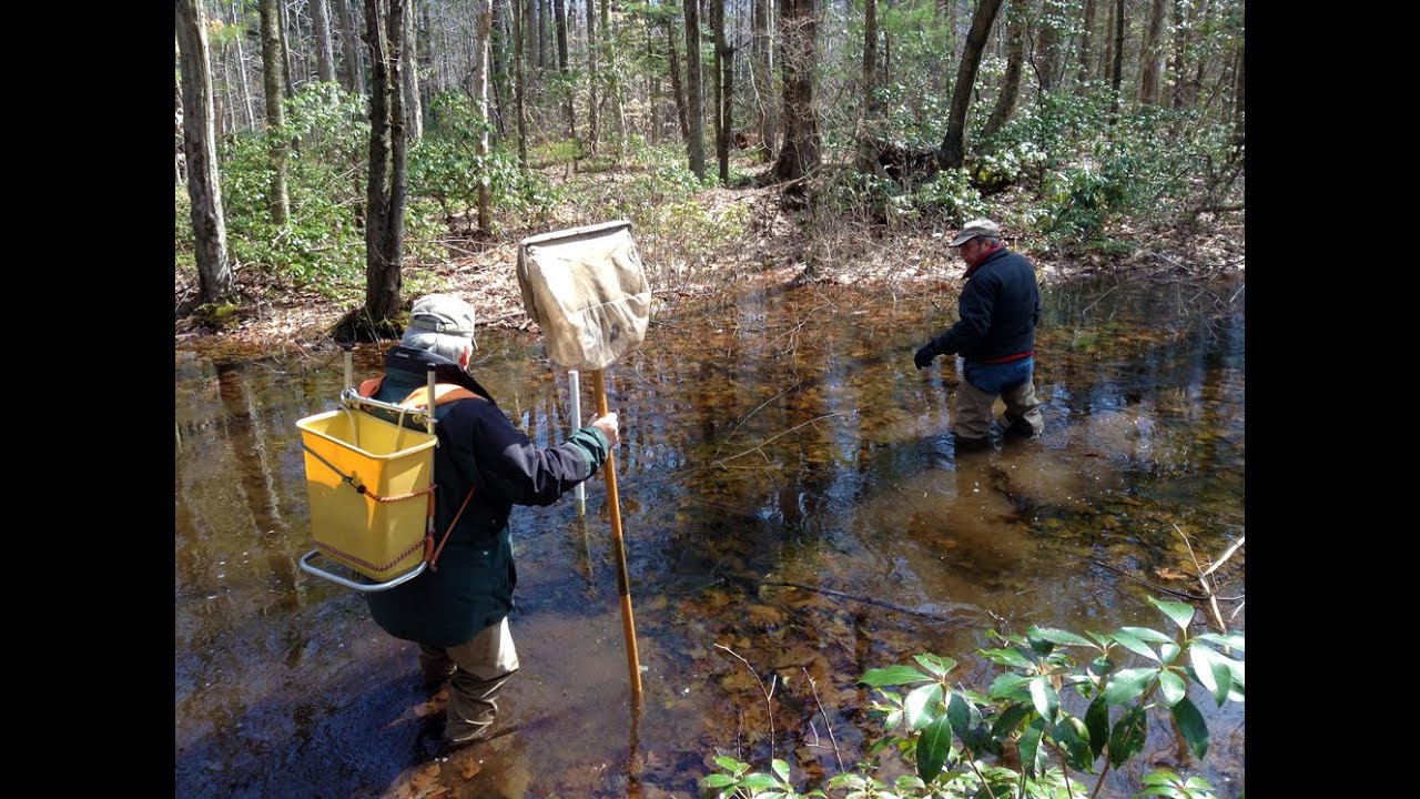 EcoBeneficial Interview: Vernal Pools with John Anderson of Aton Forest