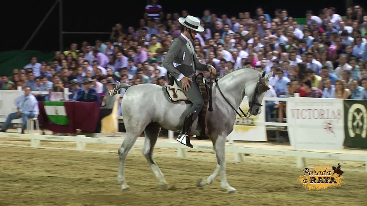 José Ramón Pérez García con Bacardi en el Campeonato de Andalucía 2017
