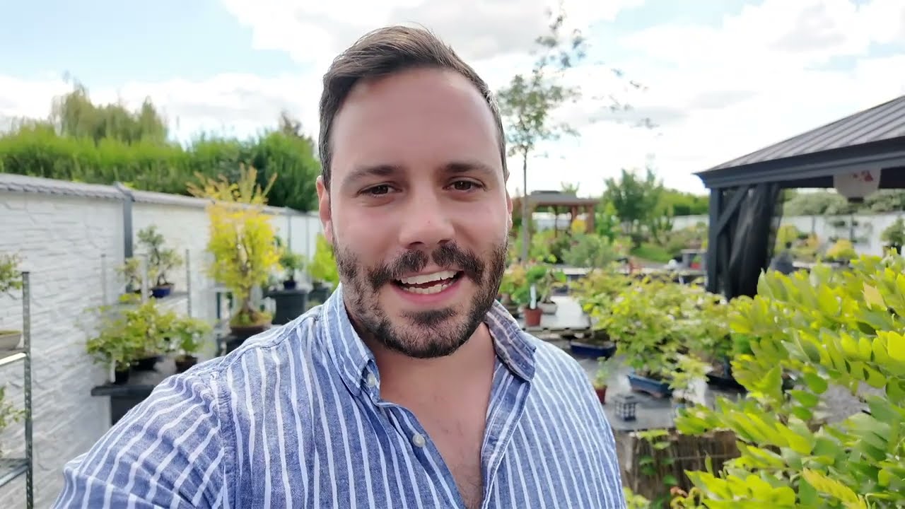 Bonsai-Garten Rundgang August 2025 bei BLB