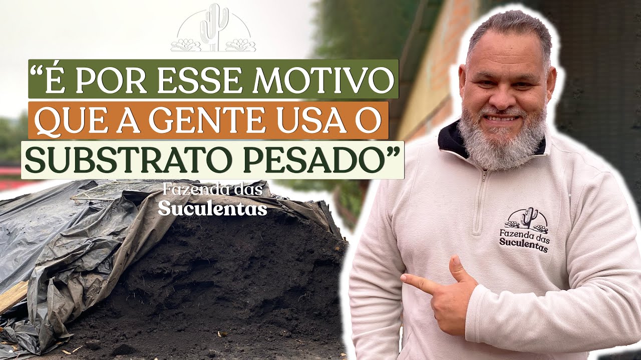 NOSSO OBJETIVO É QUE AS SUCULENTAS CRESÇAM RÁPIDO E FORTES.