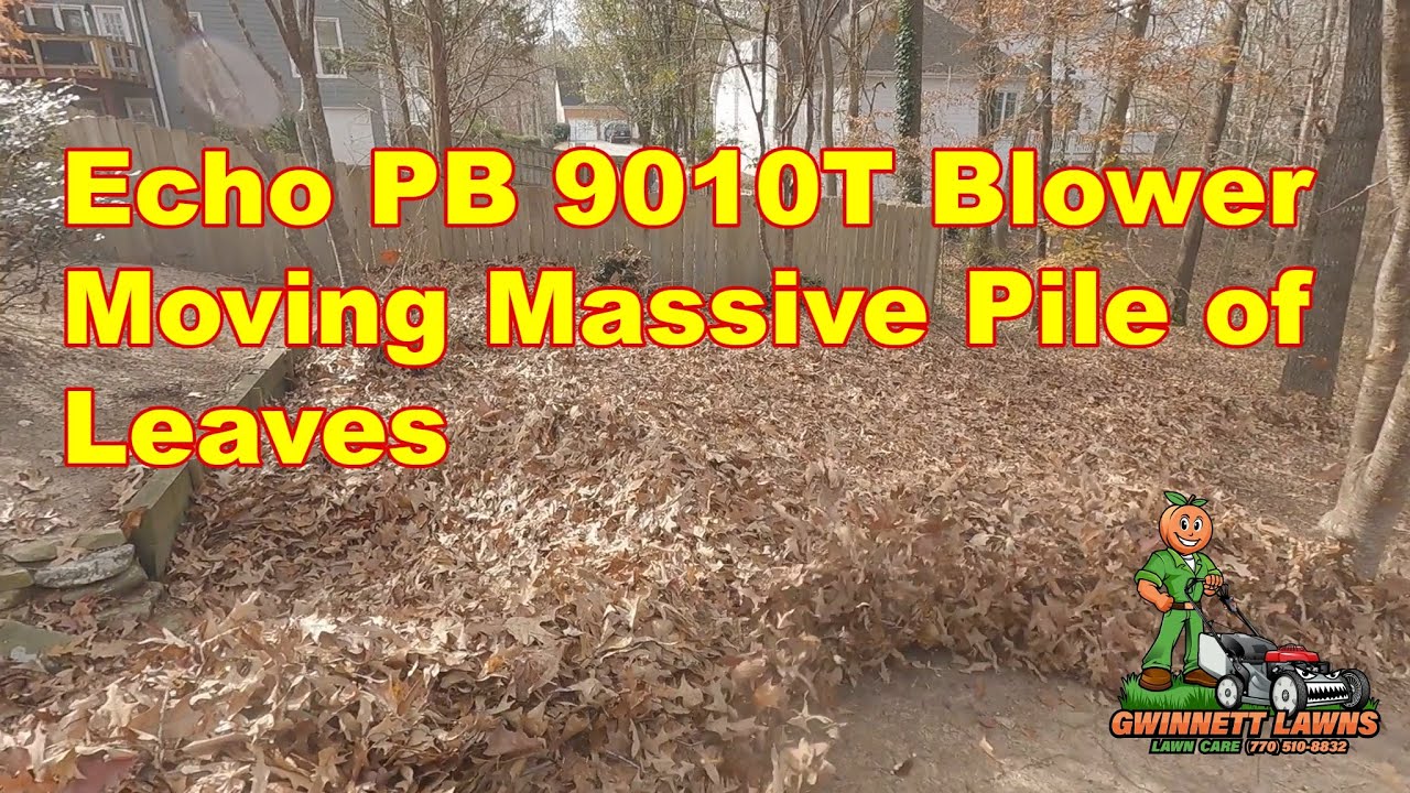 Echo PB 9010T Moves a MASSIVE AMOUNT of LEAVES!