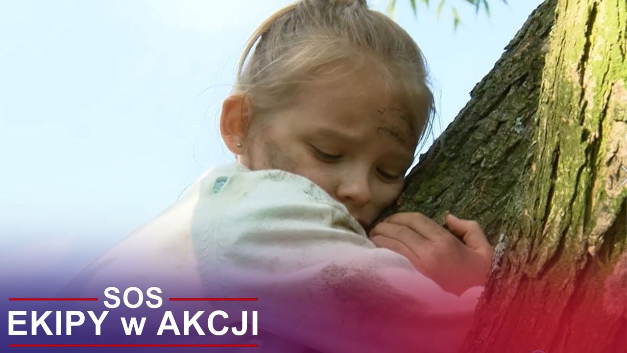 Dziewczynka uciekła agresywnym psom na drzewo! | SOS ekipy w akcji