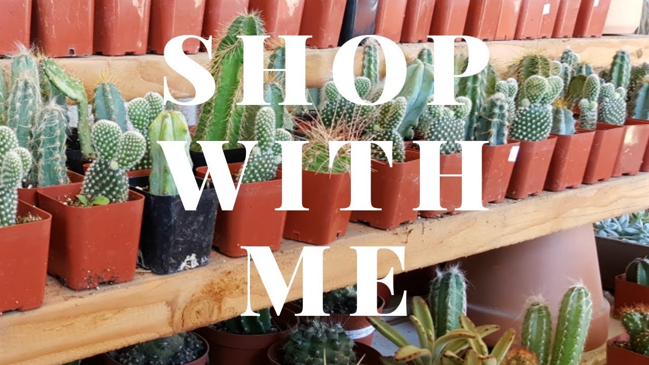 Shop with Me 2018- Cactus Shopping