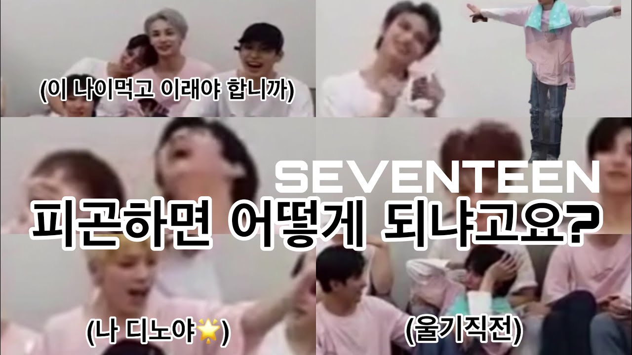 [세븐틴] 아주나이스하게 기빨린다