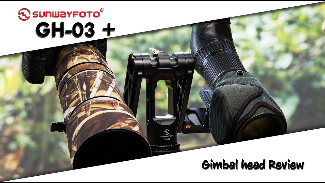 SunwayFoto GH03 + review