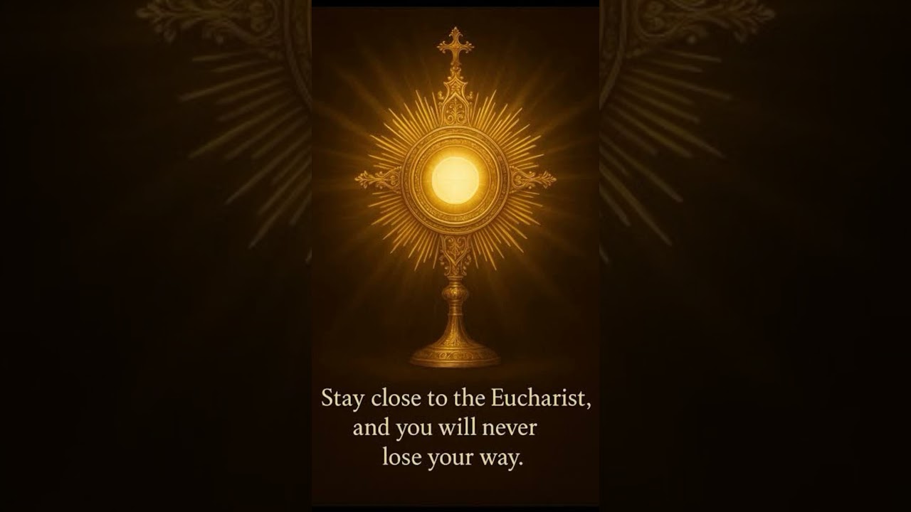 🌞Daily Mass Bless(John:6):Holy ❤️🙏Whoever eats...lives in me(Jn 