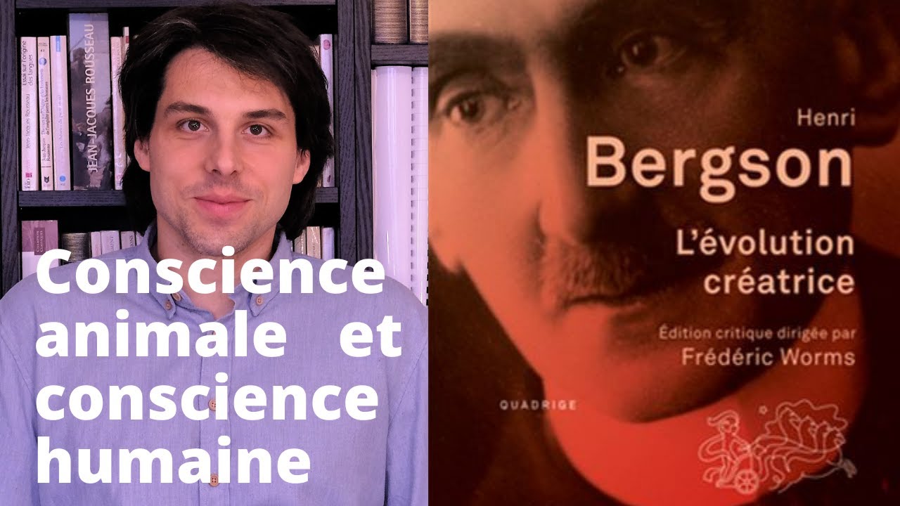 BERGSON - Conscience animale et conscience humaine (Evolution créatrice, explication de texte 2/2)