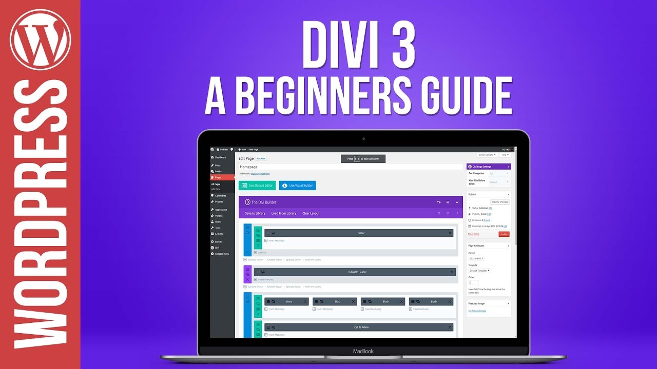A Beginners Guide to Divi 3 for Wordpress