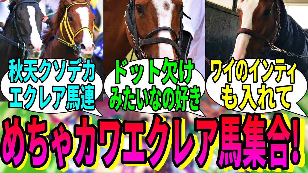 【競馬の反応集】「クソデカエクレア流星の馬が集まるだけの動画」に対する視聴者の反応集
