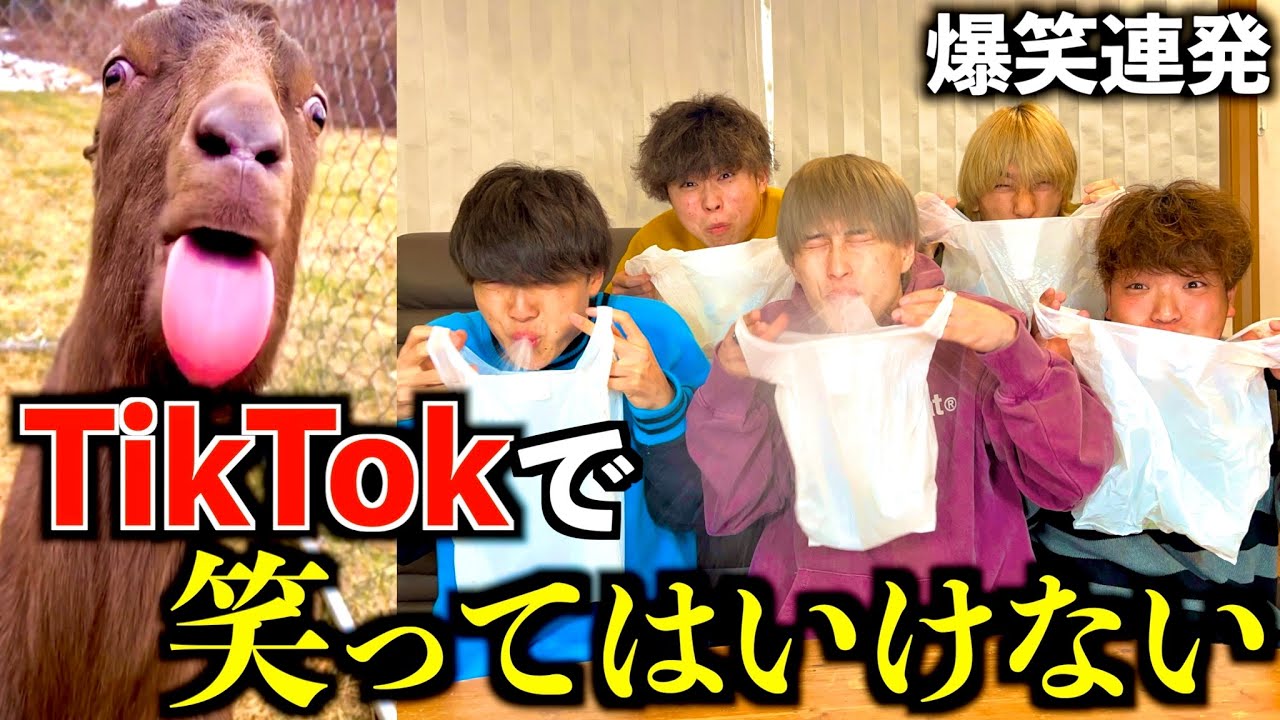 【爆笑】TikTok見て笑ってはいけないをやったらまさかの展開に！？#ジャスティスター