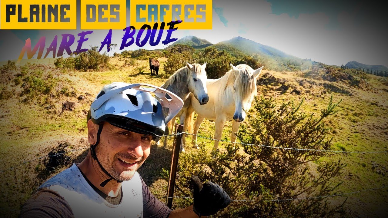 PLAINE DES CAFRES - MARE A BOUE