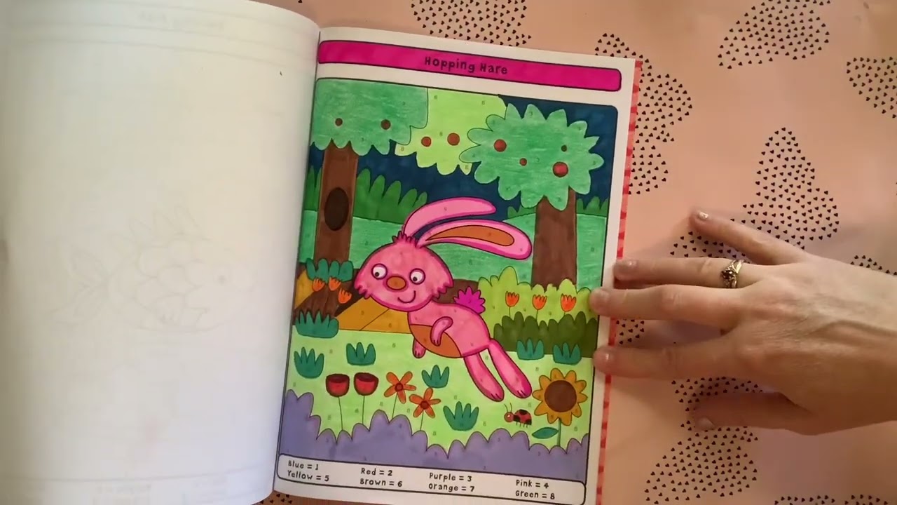 Part 2 All my Color by number books and completed pages