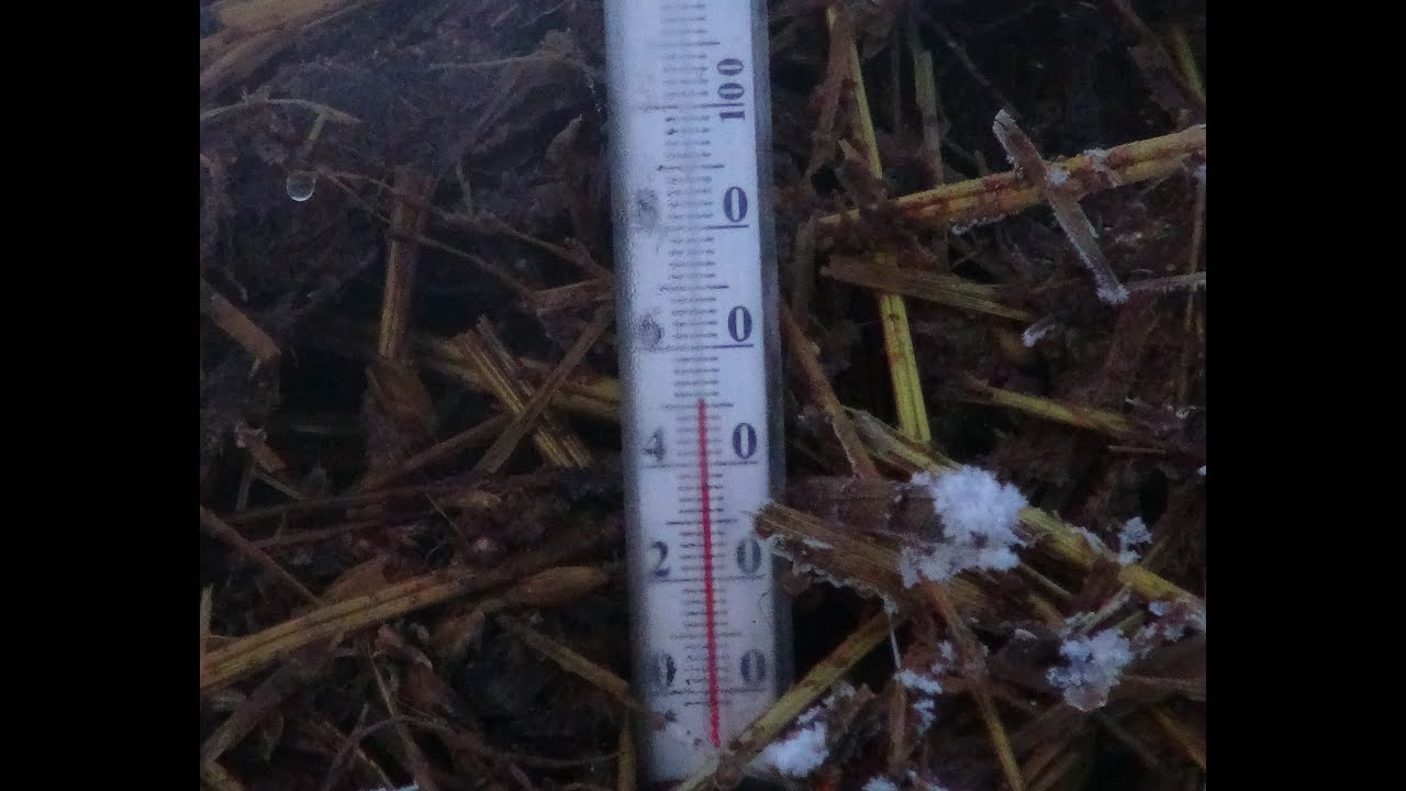 Бесплатный обогрев курятника, теплицы в зимние время.