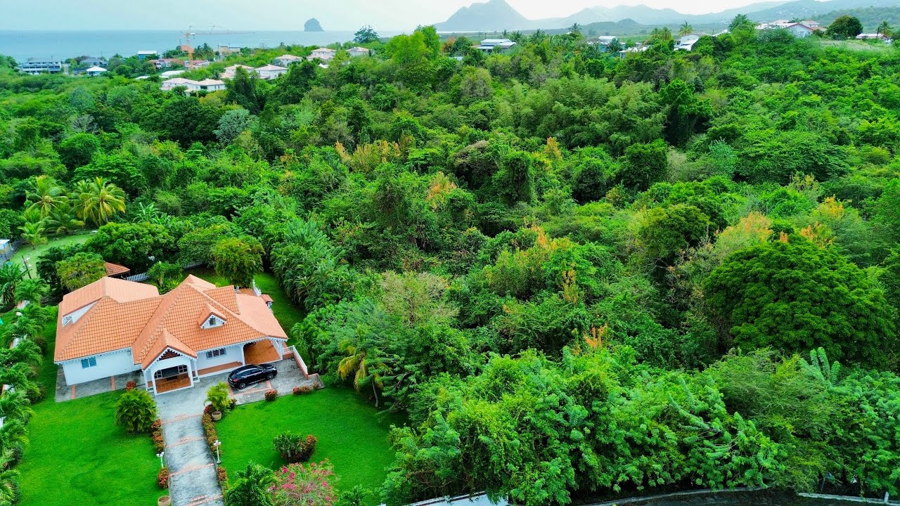 Villa à vendre à Sainte-Luce : 5 suites, piscine et jardin privé