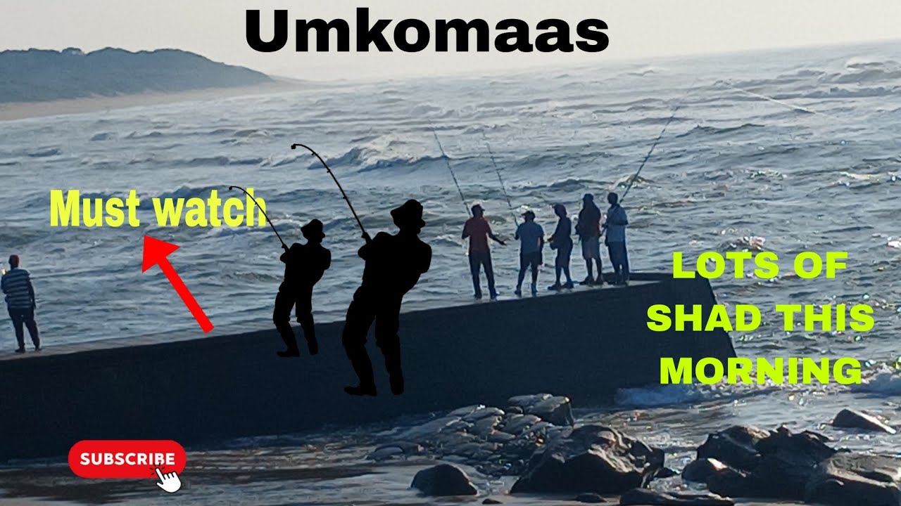 OFFROAD4LIFE, Fishing in Umkomaas for Shad