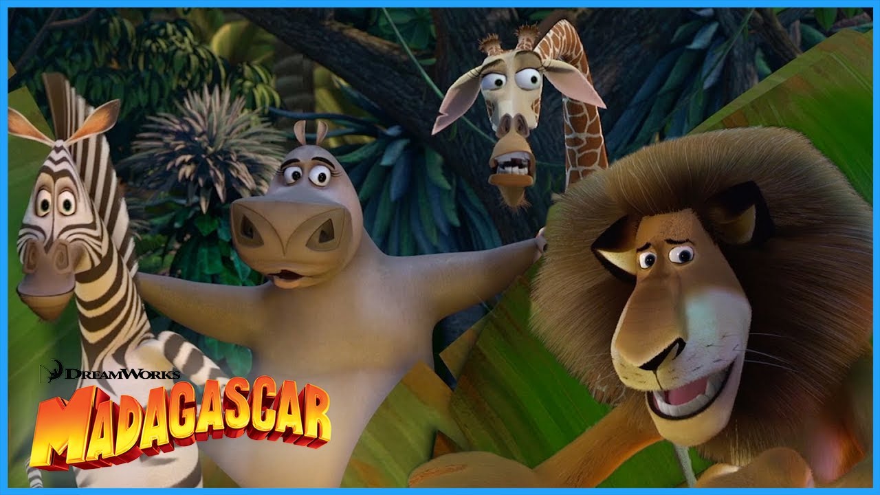Move It Move It! Madagascar's Best Bits!🦁✨ | DreamWorks Madagascar