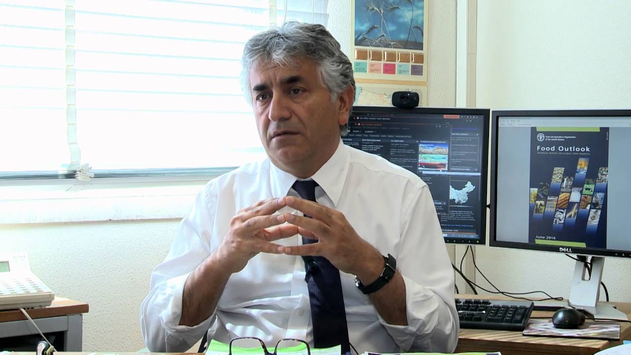 FAO&rsquo;s Food Outlook and agricultural commodity market trends