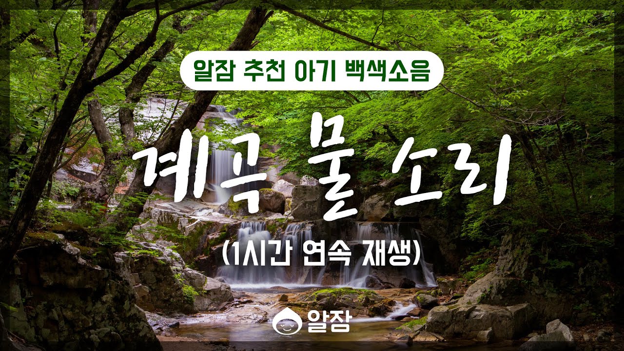 [광고 없음] 계곡물 소리 1시간 / ASMR / 3개월이상의 아기추천