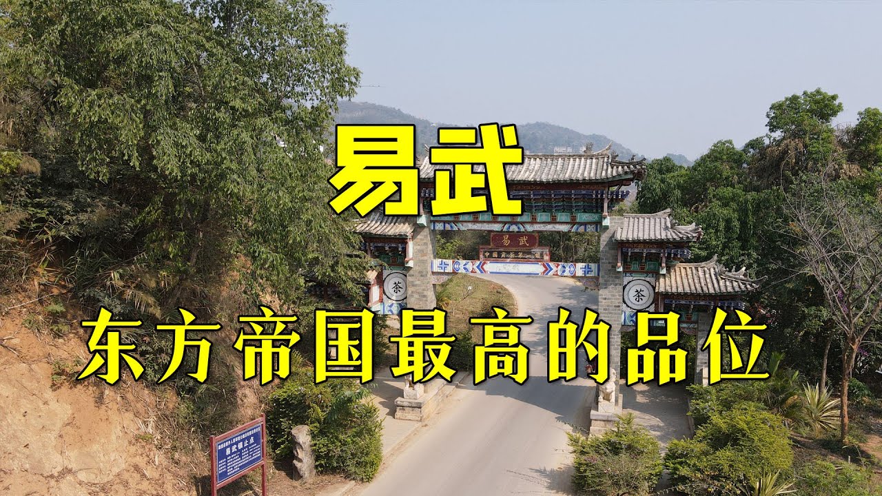 易武普洱茶的口感特点