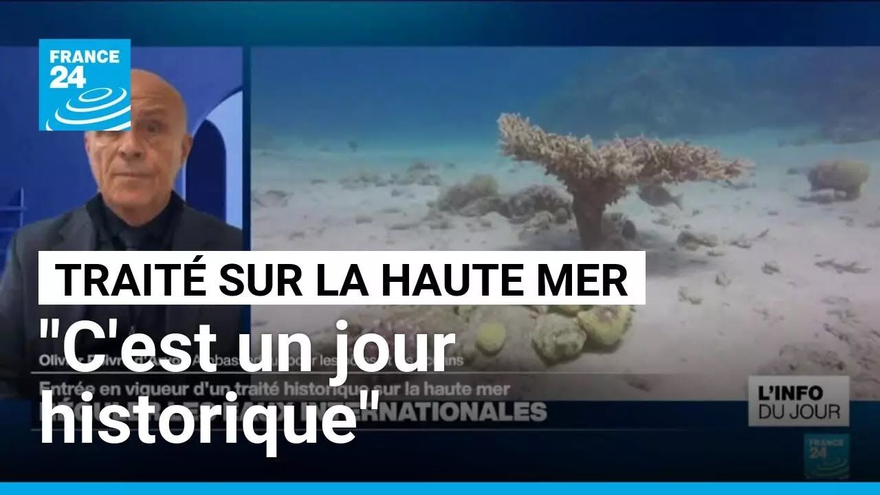 Traité sur la haute mer : "C'est un jour historique" • FRANCE 24