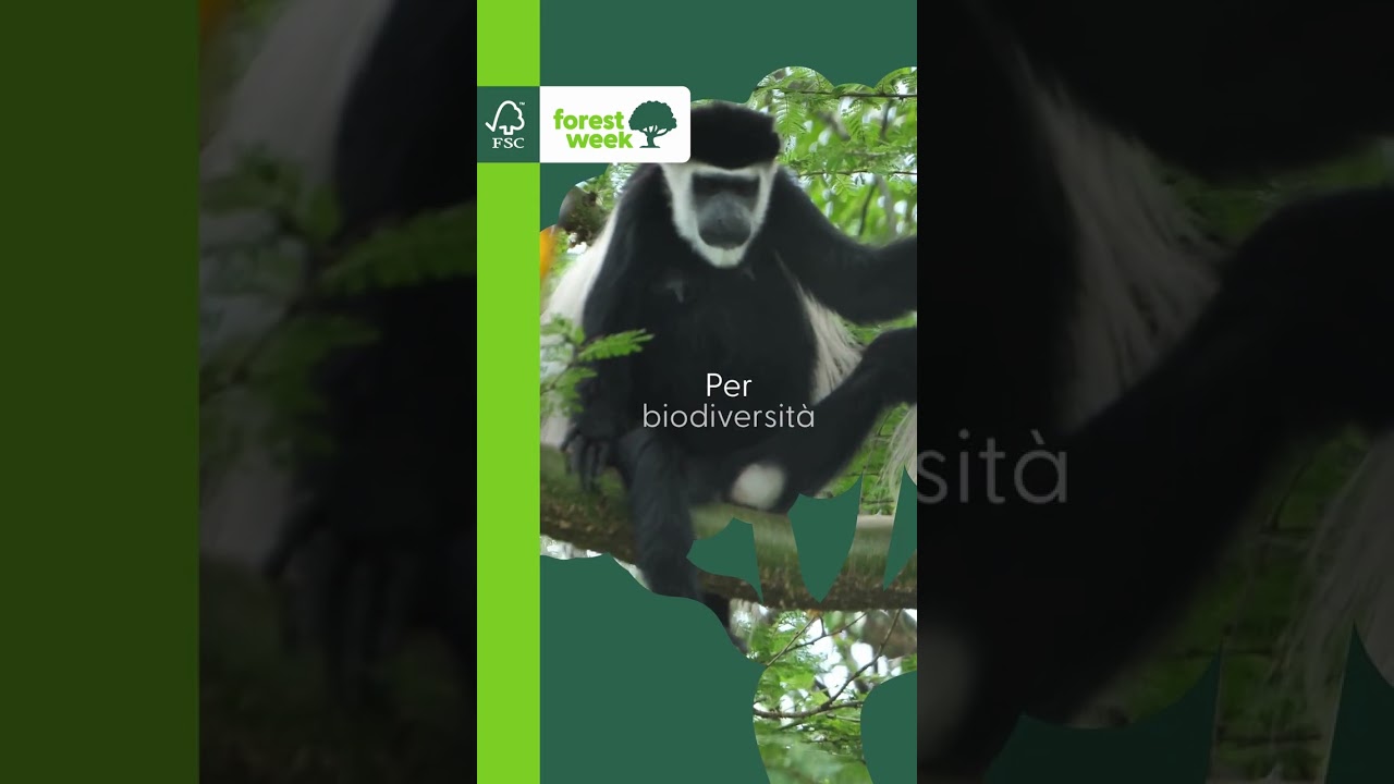 Cosa significa scegliere un prodotto certificato FSC?
