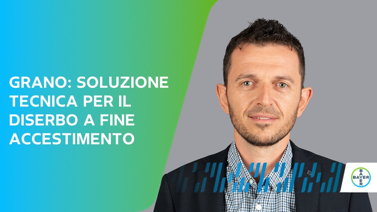 #Xprogram - Infestanti del grano in post-emergenza: una soluzione tecnica per il diserbo