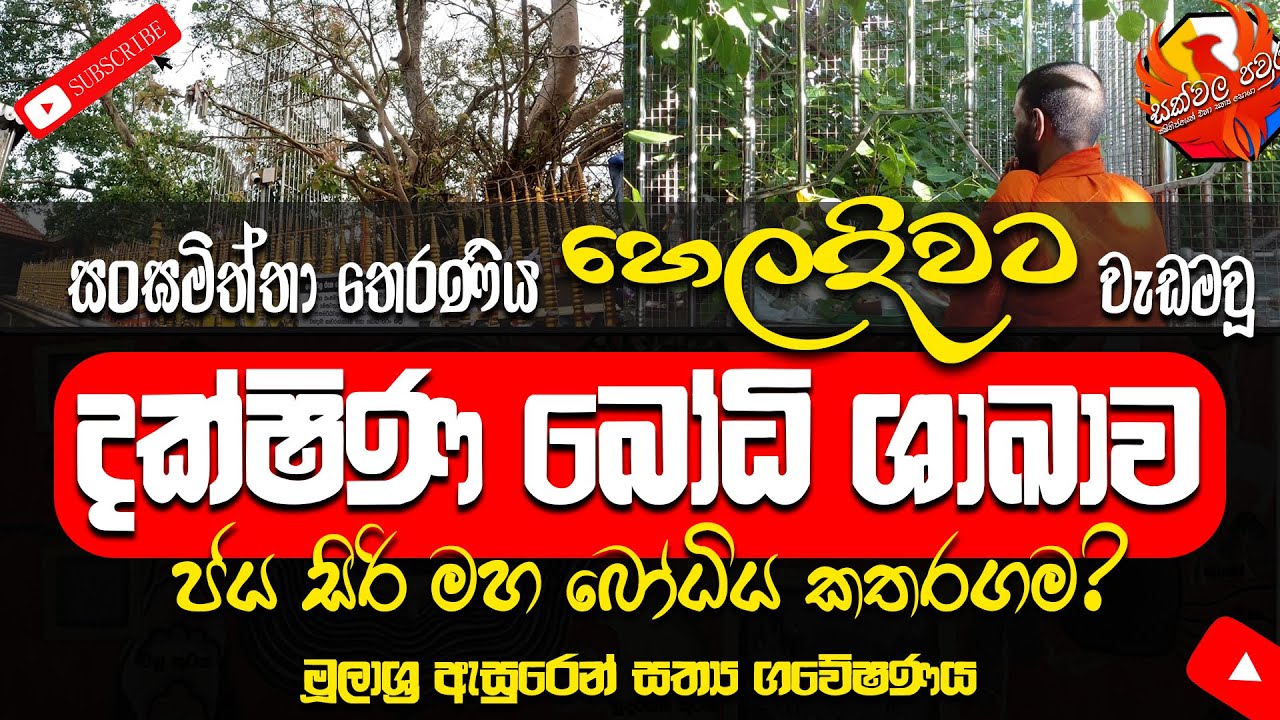 සංඝමිත්තා තෙරණිය හෙලදිවට වැඩමවූ දක්ශින බෝධි ශාඛාව කතරගම  | Jaya Sri Maha Bodiya
