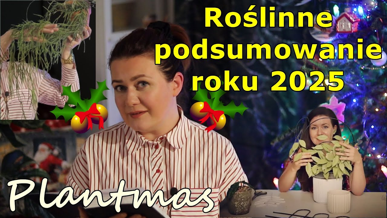 Trendy, roślinne marzenia, porażki, sukcesy, ulubieńcy, rutyna w uprawie roślin, szkodniki #planttag