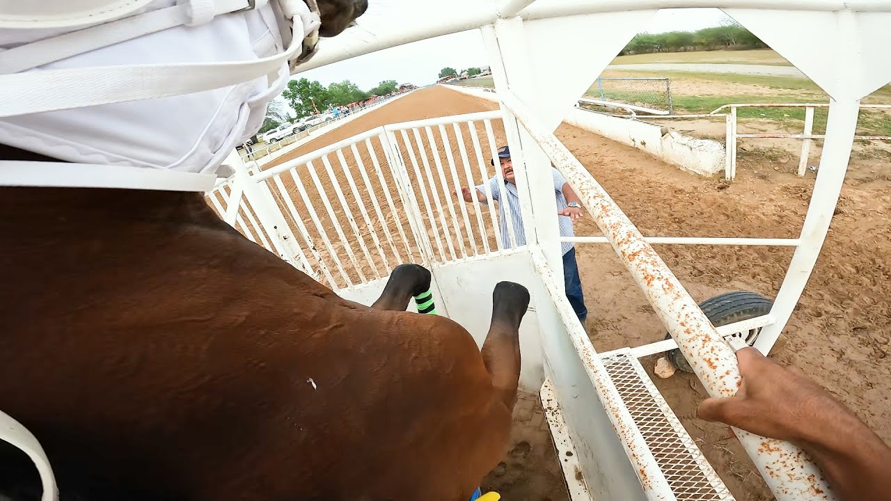 Jockey CAM