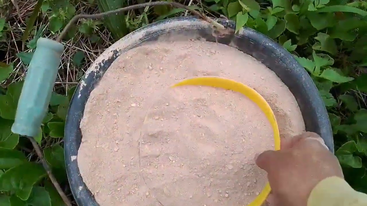 pupuk untuk akar dan batang sawit