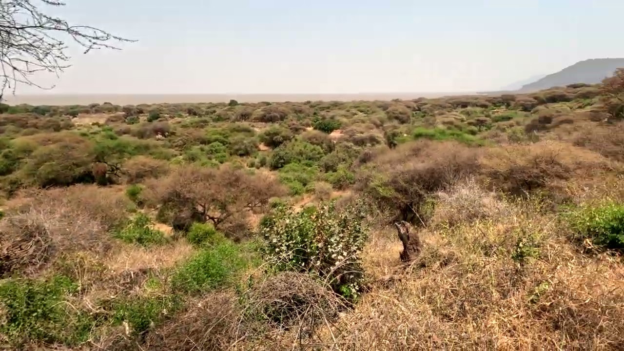 Plus Ultra Tanzania's Lake Manyara National Park