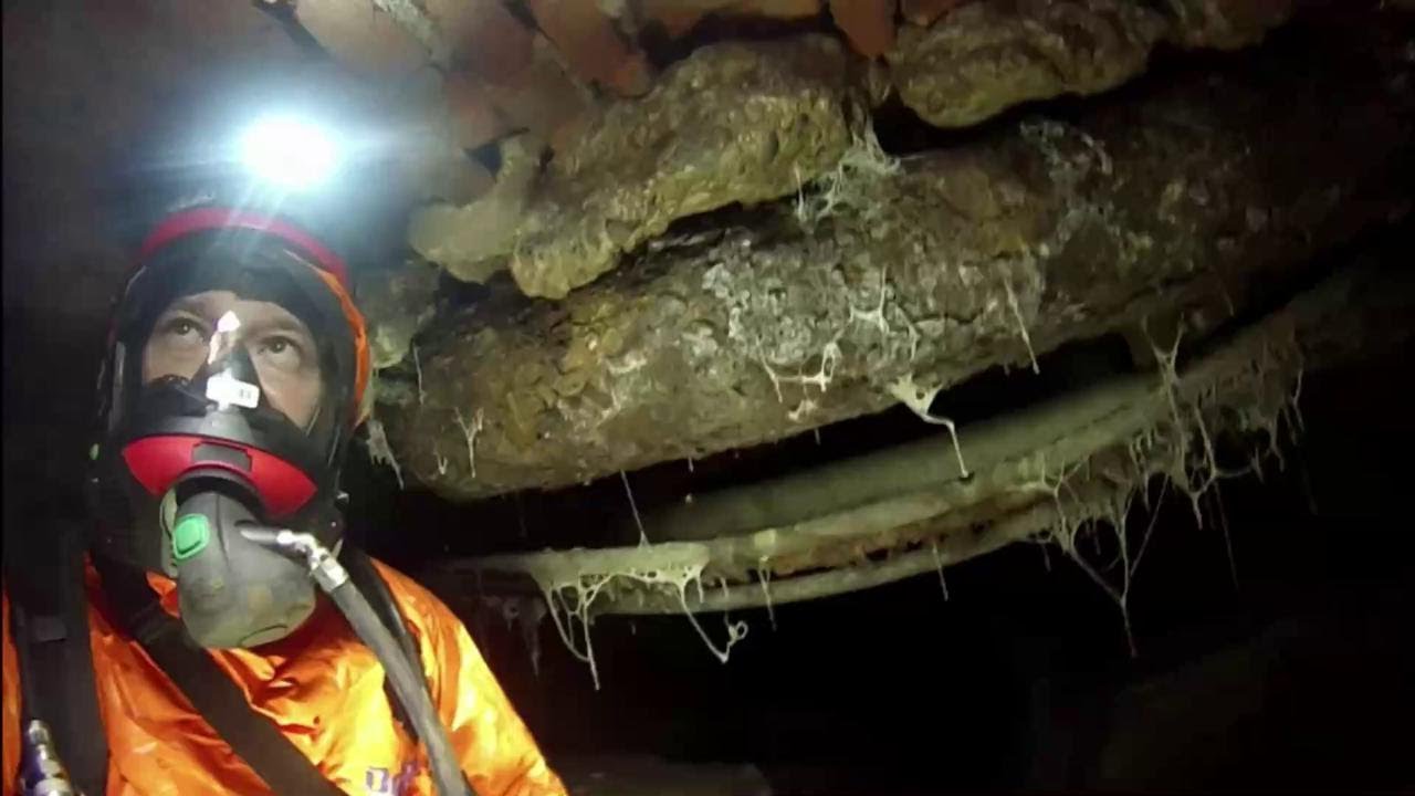 Alla ricerca di pozzi e passaggi segreti: le imprese degli 'Indiana Jones del sottosuolo'