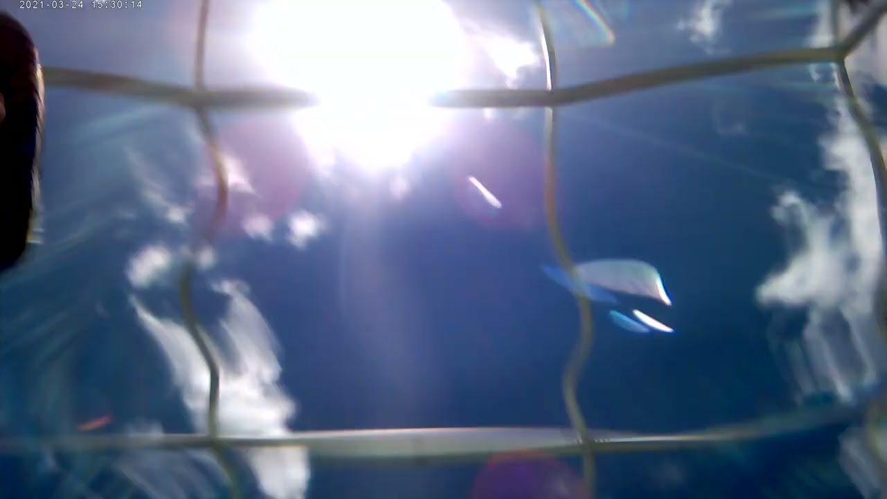 throwing my camera in pool