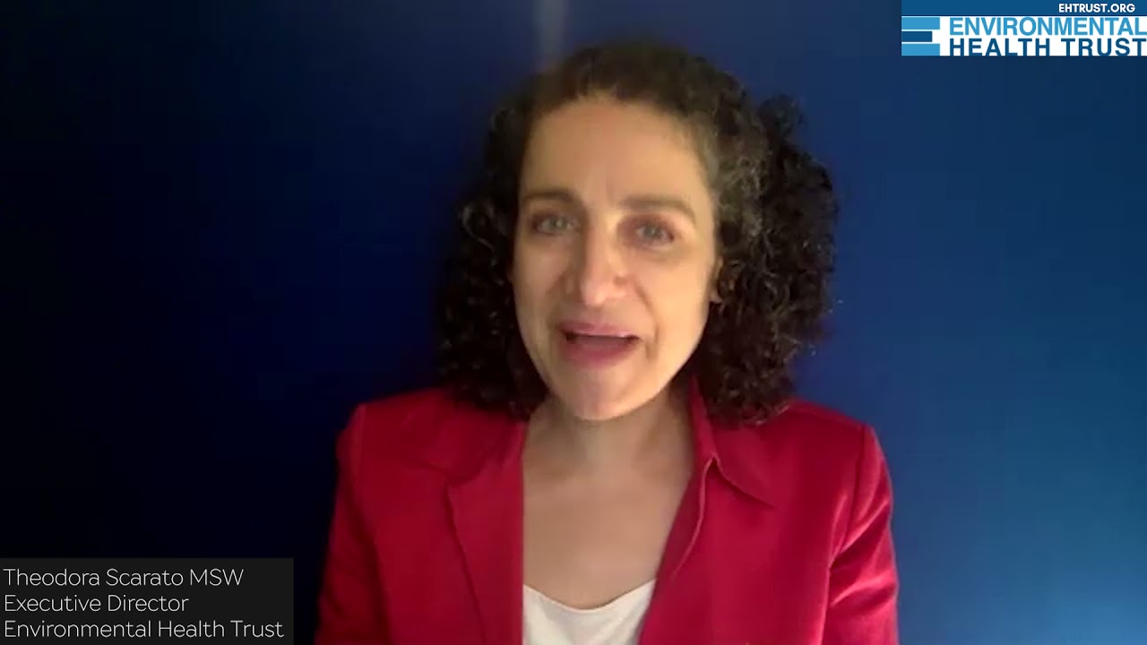95,000 Synthetic Chemicals | Making Safer Lifestyle Choices | Autoimmune Specialist Dr. Aly Cohen