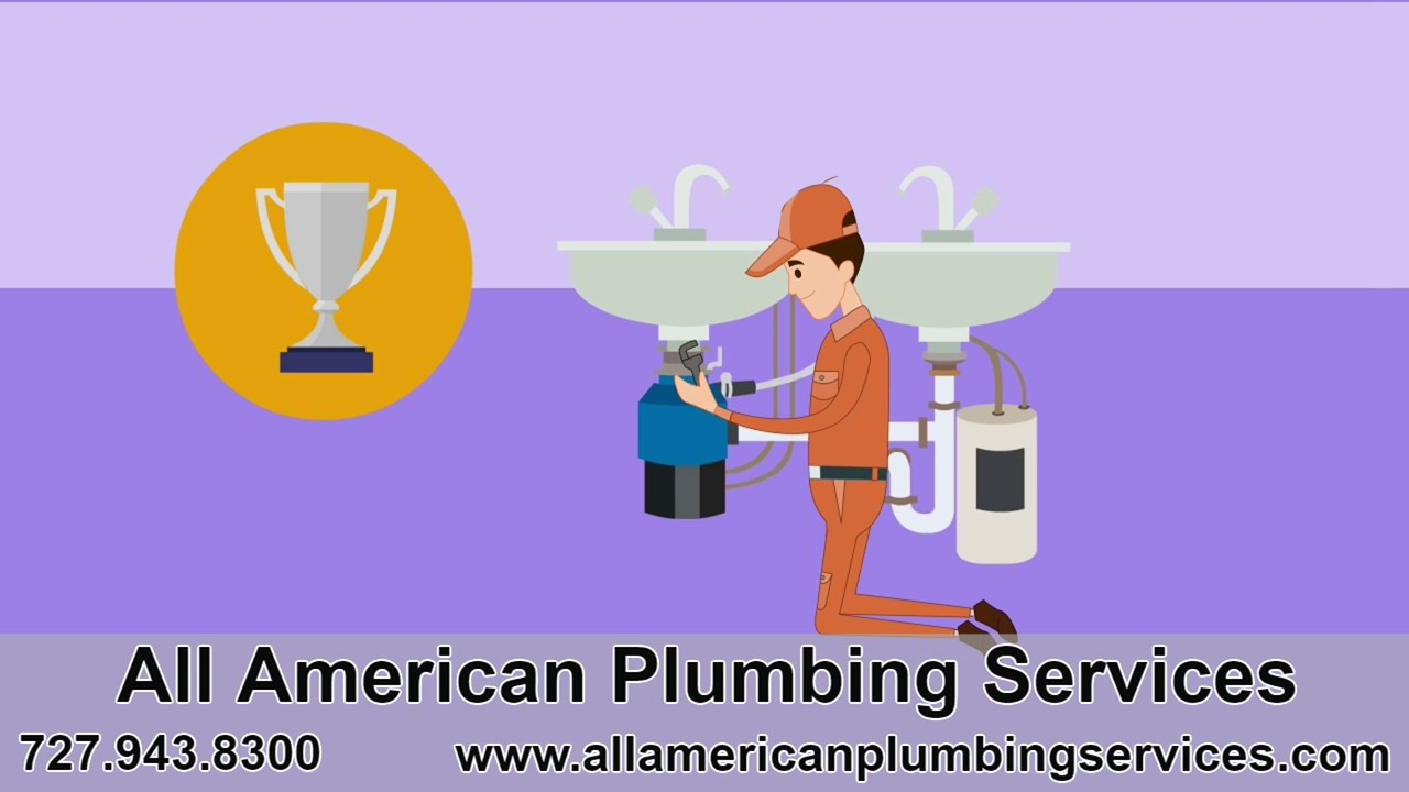 Garbage Disposal Repair or Maintenance | All American Plumbing Services