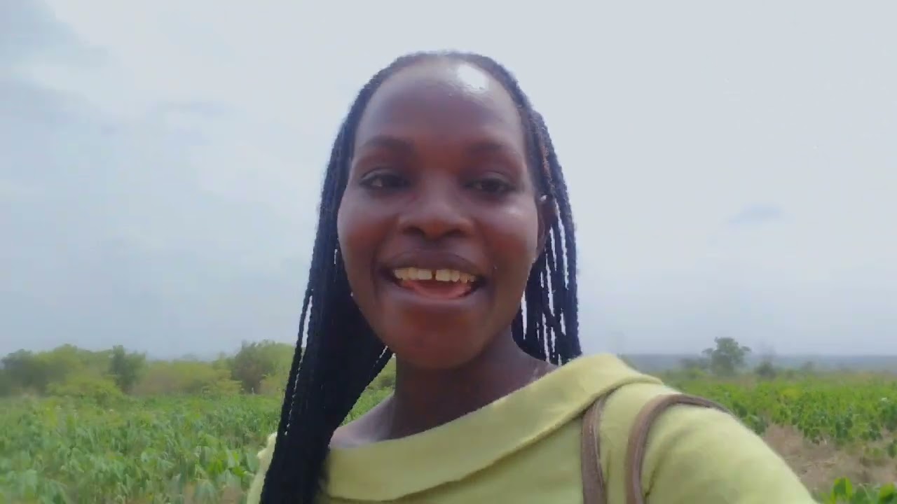 FARM CHRONICLES || CASHEW FARMING